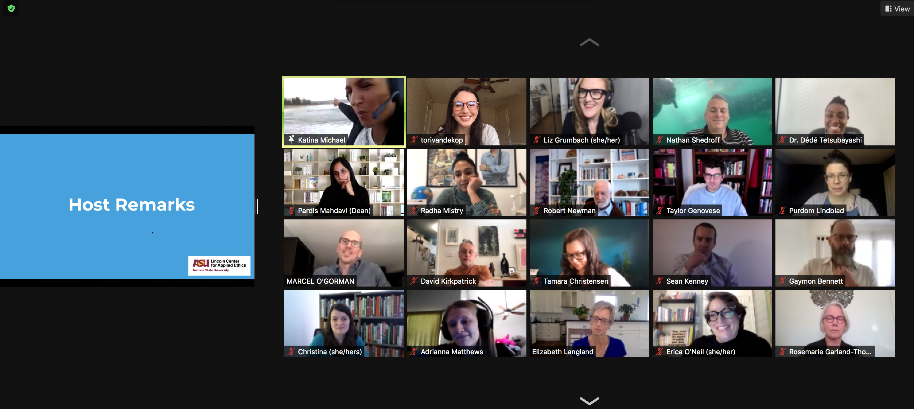 Studio Cohort screenshot from Future of Work Design Studio with Katina Michael